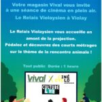 Cinéma en plein air !